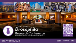 64th Annual Drosophila Research Conference