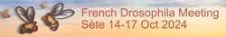 Meet Us at 35th French Drosophila Meeting