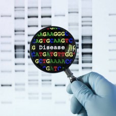 HRMA First Round Screening (Screen 100 F1 Progeny)